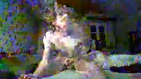 scratt67 online show from 11-22-25, 03:38