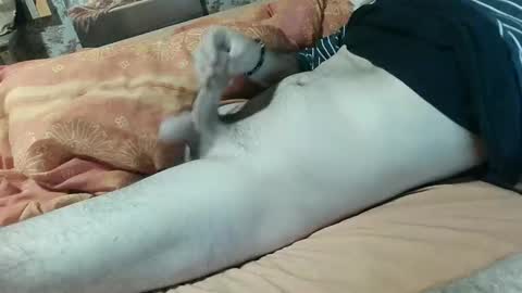 Snapshot of seb_aze chatting on 02-05-25, 08:14 seb online show from 02-05-25, 08:14