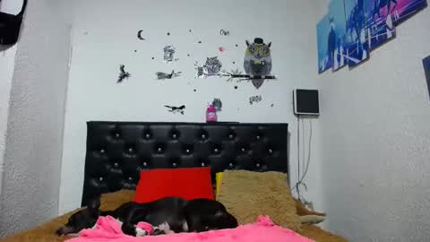 Myystiic online show from 01-21-25, 02:22