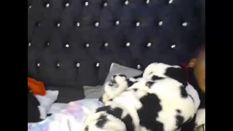 sebatrishaa online show from 10-23-25, 10:52