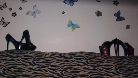 Snapshot of secoiya chatting on 09-25-25, 08:01 Emily online show from 09-25-25, 08:01