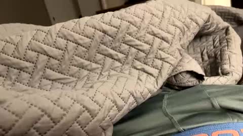 secretlyseductive9399 online show from 12-08-24, 01:14