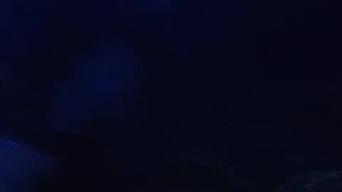 Seeker online show from 05-11-26, 05:57