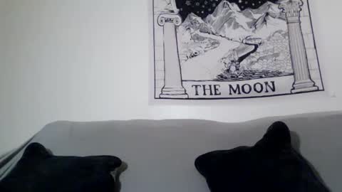 seitans curse666 online show from 04-29-26, 06:28