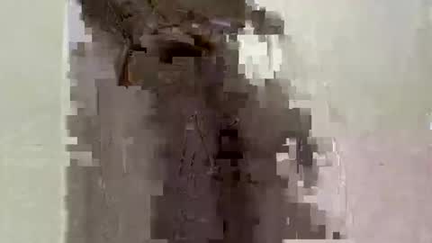 Selavi2002s online show from 06-07-26, 12:04
