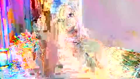 Selena online show from 09-24-25, 01:31