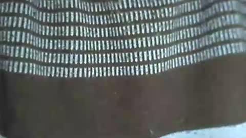 selim selim online show from 11-14-25, 10:18