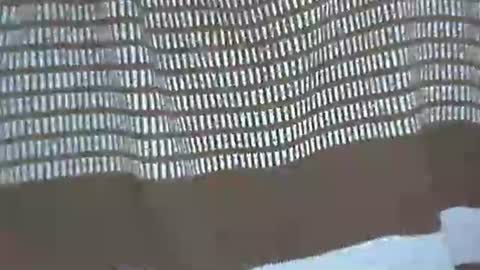 selim selim online show from 11-29-25, 11:41