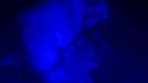 Snapshot of sensualsilhoutte chatting on 07-11-26, 04:04 sensualsilhoutte online show from 07-11-26, 04:04