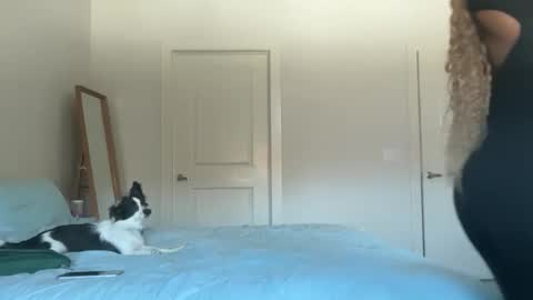 Snapshot of serenitybee chatting on 11-17-25, 05:52 Serenity Bee online show from 11-17-25, 05:52