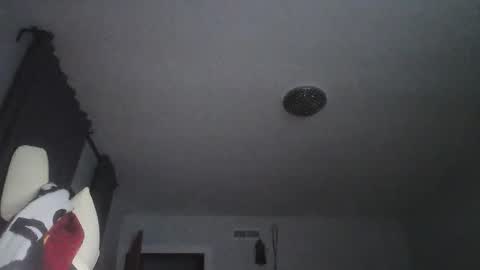 Snapshot of sexbrute chatting on 05-17-26, 01:03 sexbrute online show from 05-17-26, 01:03