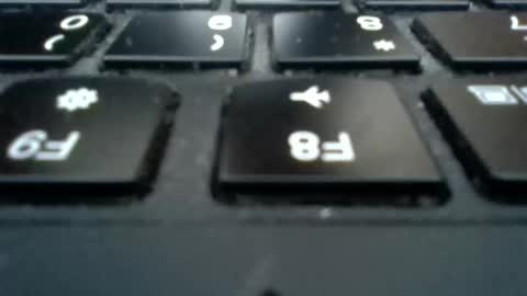 dankdiggler online show from 12-01-25, 09:25