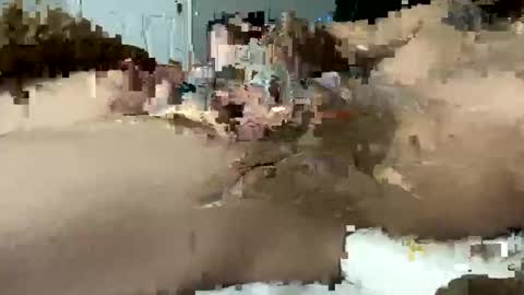 seximexibbc online show from 01-11-25, 06:35