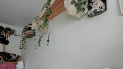         online show from 06-06-26, 06:23