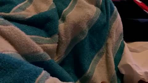 Sexplorer54321 online show from 02-03-25, 01:30