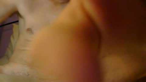 sexxxylibra10 online show from 09-18-25, 09:55