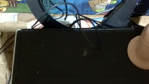 sexy_candy9 online show from 05-19-26, 03:46