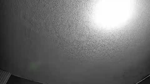 ELY online show from 06-20-26, 07:38