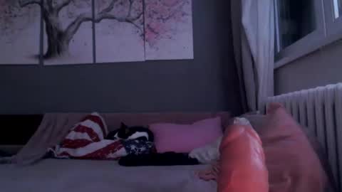Snapshot of sexyella25 chatting on 01-29-25, 11:56 .... ............ Onlyfans online show from 01-29-25, 11:56