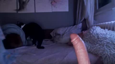 Snapshot of sexyella25 chatting on 02-21-25, 10:04 .... ............ Onlyfans online show from 02-21-25, 10:04