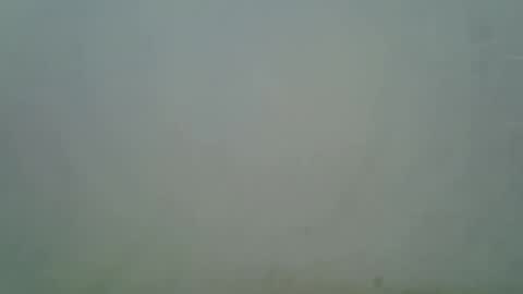 sexy liah online show from 09-29-25, 10:53