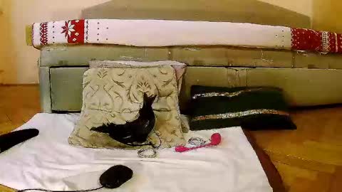 Squirty Maya Gold online show from 01-16-25, 11:58