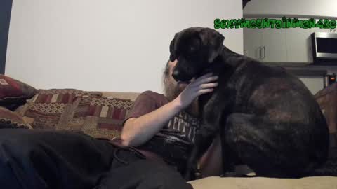 Sexymountainman420 online show from 12-24-24, 07:06