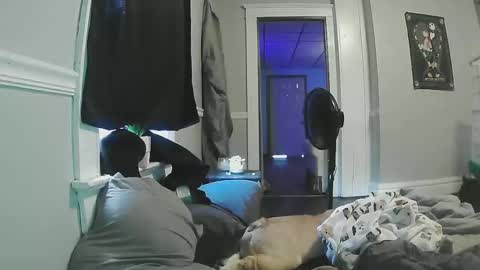sexystripper69 online show from 05-11-26, 09:12