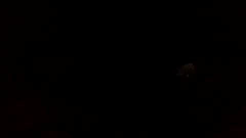sfcd357 online show from 02-01-26, 07:07