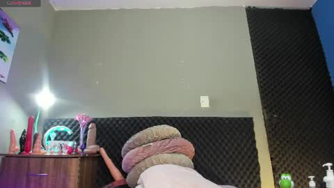 shadia online show from 06-13-26, 07:23