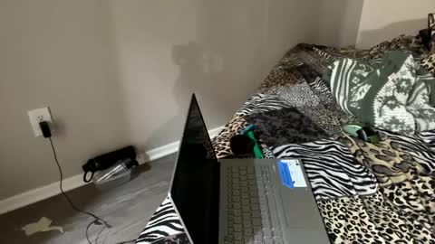 Snapshot of shamanwoman chatting on 12-02-24, 01:14 Shaman Woman online show from 12-02-24, 01:14