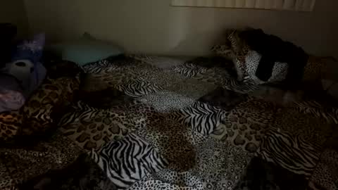 Snapshot of shamanwoman chatting on 12-06-24, 02:57 Shaman Woman online show from 12-06-24, 02:57