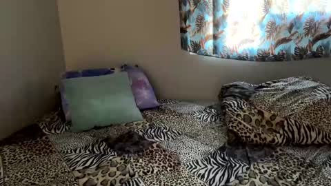 Snapshot of shamanwoman chatting on 12-06-24, 05:11 Shaman Woman online show from 12-06-24, 05:11