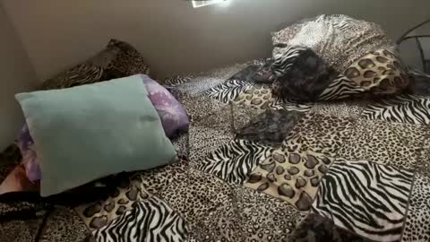 Snapshot of shamanwoman chatting on 12-06-24, 11:57 Shaman Woman online show from 12-06-24, 11:57