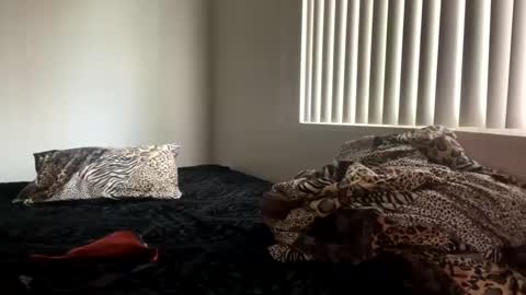 Snapshot of shamanwoman chatting on 12-25-24, 08:07 Shaman Woman online show from 12-25-24, 08:07