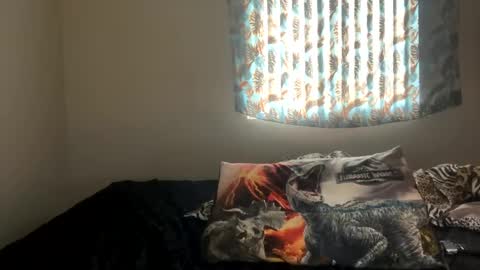 Snapshot of shamanwoman chatting on 12-27-24, 07:24 Shaman Woman online show from 12-27-24, 07:24