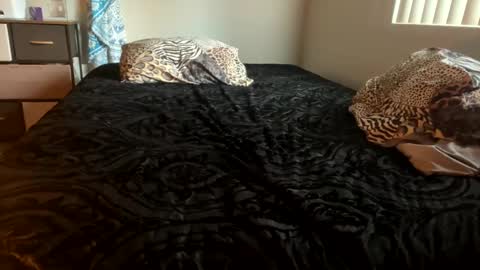 Snapshot of shamanwoman chatting on 12-28-24, 04:52 Shaman Woman online show from 12-28-24, 04:52