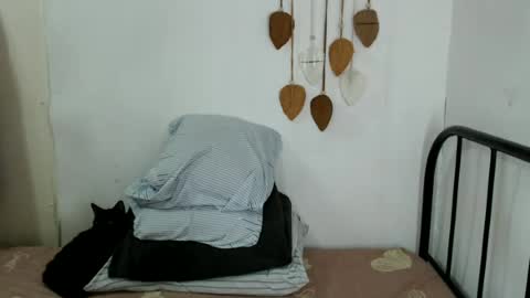 Snapshot of shanegreents chatting on 06-22-26, 04:31 bini aiah online show from 06-22-26, 04:31