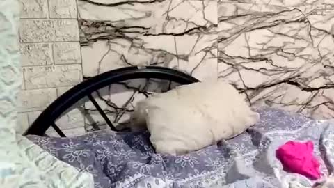 Snapshot of shayka09 chatting on 03-23-26, 05:44 shayka09 online show from 03-23-26, 05:44