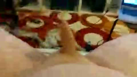 shedor85 online show from 05-31-26, 07:59