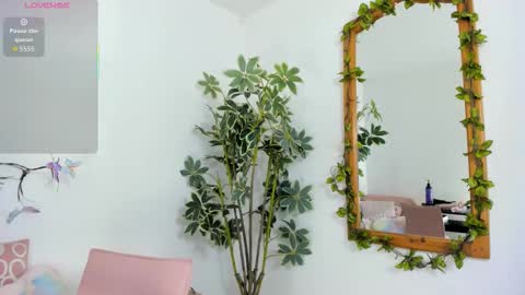 Shego  online show from 11-26-25, 12:22