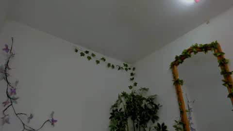 Shego  online show from 07-06-26, 12:18