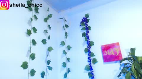 SHEILA  online show from 12-09-24, 07:39