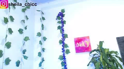 SHEILA  online show from 12-09-24, 10:52