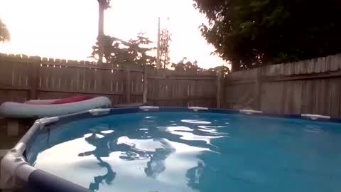 Red online show from 09-19-25, 11:16