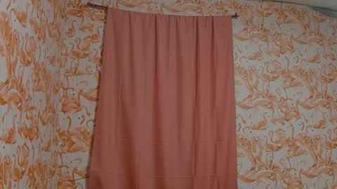 Snapshot of shelikessoymilk chatting on 10-03-25, 01:57 Erika online show from 10-03-25, 01:57