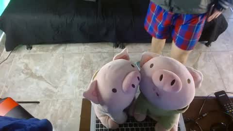 Snapshot of shinobi_grey chatting on 01-24-25, 03:55 .. shinobi .. online show from 01-24-25, 03:55