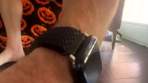 shortshortsman online show from 10-08-25, 05:10