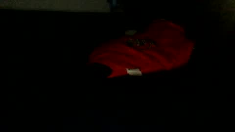 shyandlong69699 online show from 09-20-25, 02:23