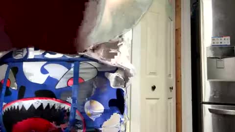 shyandlong69699 online show from 09-26-25, 03:32